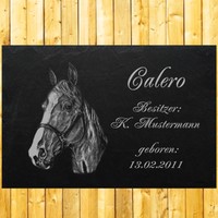 Stallschild Stalltafel Boxenschild Stein Pferd 04 @  Ihr Foto+Text  @ 50 x 30 cm