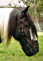 Maulkorb mit Gummiboden Fressbremse Pferd Weide Hufrehe Fressschutz