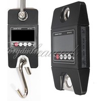 Kranwaage Hängewaage Profi Digital Wildwaage Waage 300kg 100g Industriewaage NEU