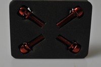 Reverse Befestigungsschrauben für Adapter M6x18 mm rot Scheibenbremse Schrauben