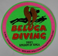 Aufkleber BELUGA DIVING TONGA Tauchsport Tauchen Sticker Autocollant