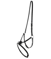 STAR Mexikanisches Reithalfter