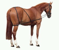 Kombi-Ausbinder mit Hintergeschirr Ausbinder Hilfszügel schwarz