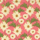 Michael Miller Sandi Henderson Meadow Sweet Daisy Path Fabric in Blush