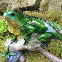 Eidechse in prächtigen Farben auf Ast, tolle Wintergarten Dekoration