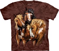 Find 8 Horses Horse T Shirt Child Unisex The Mountain