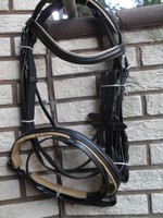 Trense sehr weiches Leder, unterlegt mit schwedischem Reithalfter (in  5 Größen)