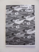 FANZINE / HOMER 17 / SV LIPPSTADT 08 - FANS,ULTRAS HOOLS / GROUNDHOPPING