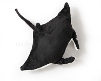 Stofftier Mantarochen (klein), Rochen, Fisch, Plüschtier, Kuscheltier