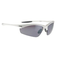 ALPINA Sonnenbrille Radbrille Sportbrille Tri-Effect
