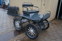 Marathonwagen Freizeitkutsche Kutsche Kutschen Marathon