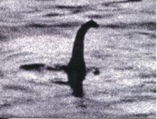 Post Card Of The Famous Photo Of The Loch Ness Monster "Nessie" In Scotland