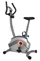Professionelle magnetische Fahrrad 1004 Schwungrad 8KG