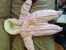 Winnie the Pooh Girls infant snowsuit size 0-3 months