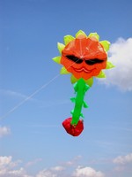 Einleiner: fliegende Sonnenblume (86cm x 257cm)