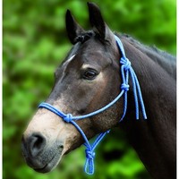 Knotenhalfter Waldhausen 