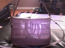 crocodile purple coach