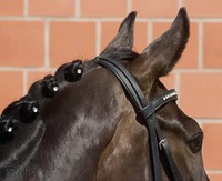 Busse Mähnen TWISTER 