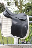 Passier Dressursattel Lenox 16,5 Zoll, gepflegt 