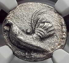 HIMERA in SICILY 510BC Archaic Ancient Silver Greek Coin ROOSTER HEN NGC i58238