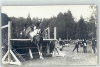 51698448 - Pferderennen