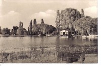 Plaue - Am Bootshaus, gelaufen, Echtes Foto, Ansichtkarte