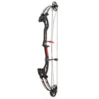PSE Compoundbogen Stinger X Schwarz - 21-30"