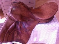 Kieffer Sattel Isar AT Vielseitigkeit selten