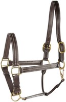 Harry's Horse Lederhalfter Halfter De Luxe geöltes Leder 3fach verstellbar 