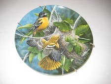 Collecters Plate-"Baltimore Oriol" -85-Knowles Platebirds Your Garden Collec