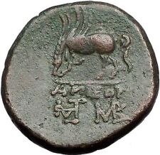 AMISOS in PONTUS MITHRADATES VI the GREAT Time Perseus Pegasus Greek Coin i55627