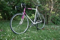 Pinarello Asolo - Classic Rennrad mit voller Campagnolo Ausstattung - 1A Zustand