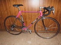 F.MOSER,  italian  Stahl  rennrad,  retro, vintage 55x55cm, campagnolo ,mavic 