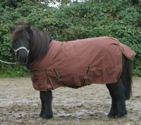 NEU: Regendecke für Shetty / Minishetty 70-80-90-100cm schoko