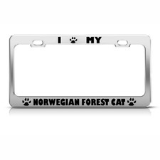 Norwegian Forest Cat Chrome License Plate Frame Stainless Metal Tag Holder