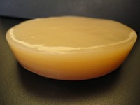 Offizieller Lebensmittelbetrieb: Kombucha Pilzkultur Teepilz Tibi Pilz