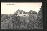 alte AK Hohenentringen, Blick zum Schloß 