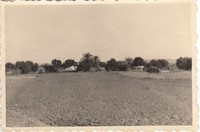 Foto Luftwaffe Flugzeug 2./JG 77 in Matmata Tunesien Ende Jan./Anfang Febr. 1943