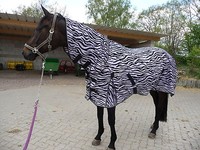 **FLIEGENDECKE**ZEBRA  für die Koppel- NEU mit Halsteil 165 cm