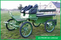 Fahrschulwagen Kutsche Fahrschulwagen Marathonwagen 25" Kutschen grun