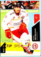 Playercard - Eishockey DEL Basic Serie 2 15/16 - David Van Der Gulik #7