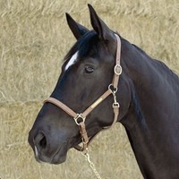 Lederhalfter Kieffer Elegance 