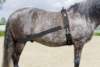 USG CoraLe TRAININGSSYSTEM ZUR HINTERHANDAKTIVIERUNG LEHMANN LONGIERHILFE 