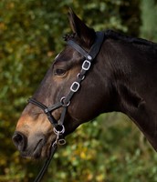 Barefoot Kopfstück Syringa schwarz m. Zügeln Sidepull Bitless Bridle - H&H Celle