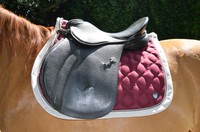 Kieffer Isar AT Sattel