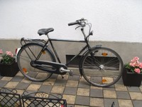 "GAZELLE IMPALA "HERREN-HOLLANDRAD -FAHRRAD 7 GANG RH 55 cm