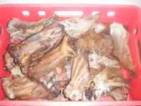 WOW 10 Stk. Rinderohren mit Fell u. Muschel direkt vom Hersteller a. Obb