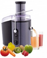 NEU PROFI ENTSAFTER SAFTPRESSE ELEKTRISCH OBSTPRESSE FÜR GANZE FRÜCHTE 1000 Watt