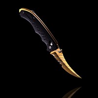HIMMELSSCHMIEDE Counter FLIP KNIFE TIGER TOOTH GO Skin CS Strike Messer Karambit