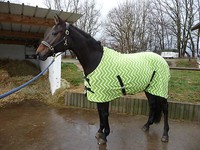 MICROFLEECE-ABSCHWITZDECKE Kreutzbegurtung NEU 155 cm Limegreen mit Zacken